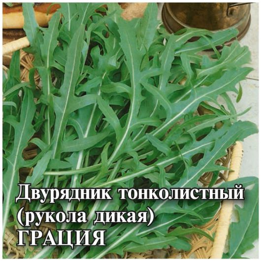 Двурядник (Рукола) Грация 10,0 г (Голландия)