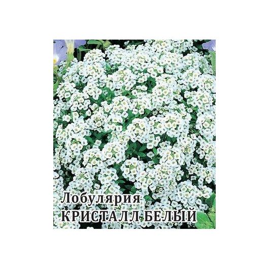 Лобулярия Кристалл Белый 100 шт.* сер. Профи