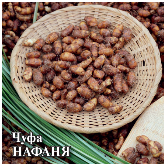 Чуфа Нафаня 100 г