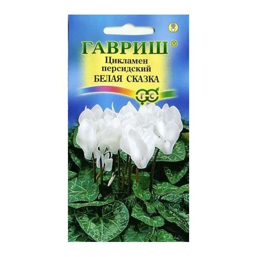 Цикламен Белая сказка персидский* 3 шт