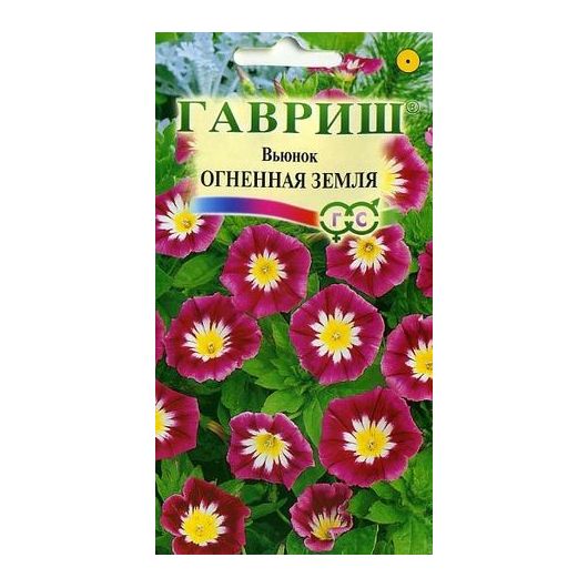 Вьюнок Трехцветный Огненная земля 0,5 г