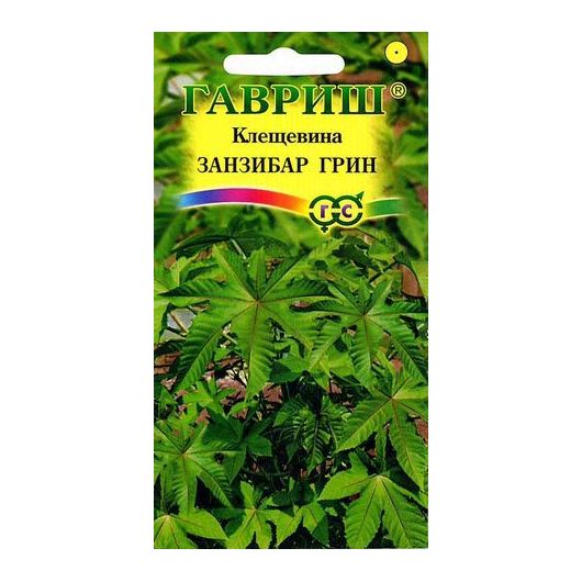 Клещевина Занзибар Грин  5 шт.