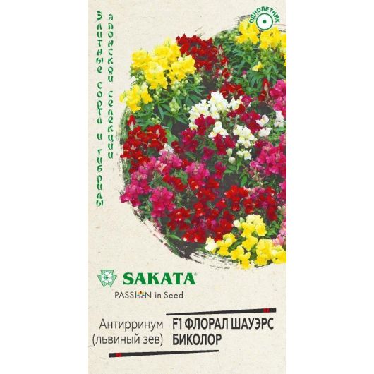 Львиный зев (Антирринум) Флорал Шауэрс Биколор F1* 7 шт. Саката серия Элитная клумба