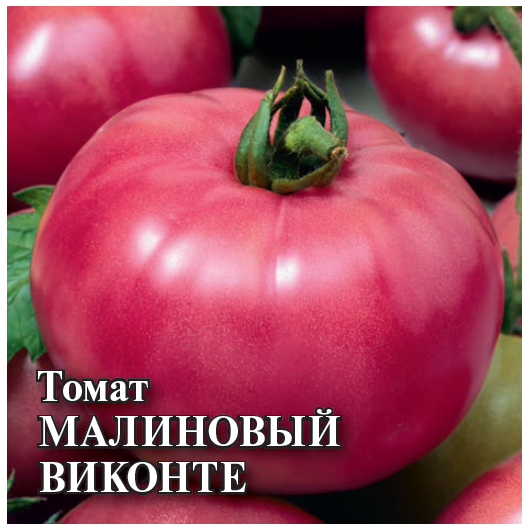Томат Малиновый виконте 5,0 г