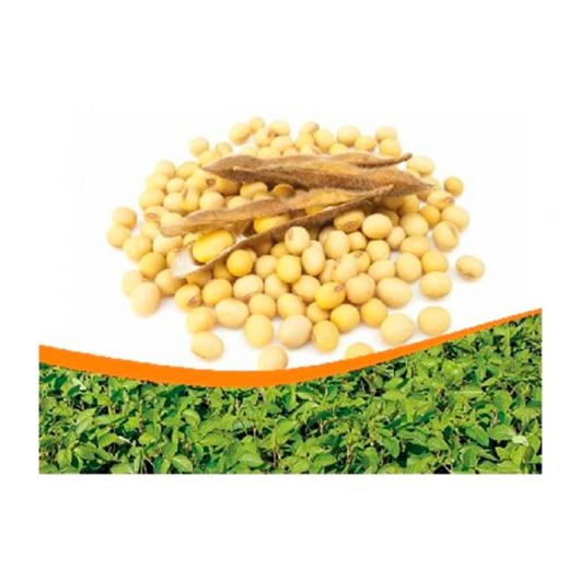 Соя Дельта 1 кг