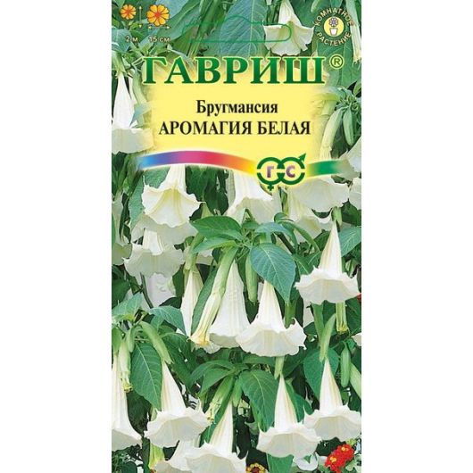 Бругмансия Аромагия белая 3 шт.