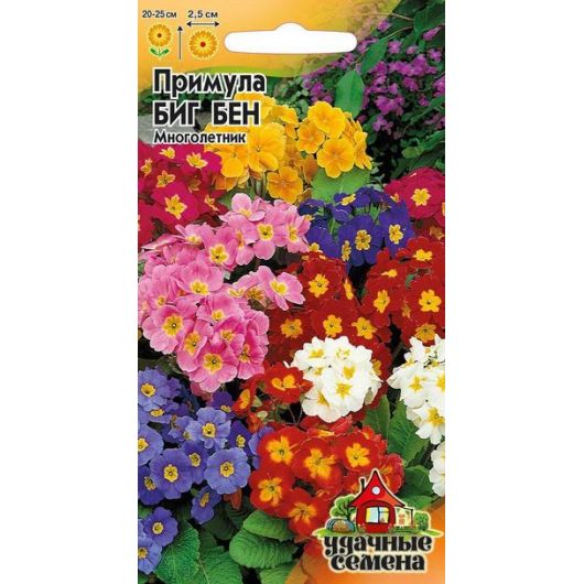 Примула Биг-Бен* 20 шт. Удачные семена