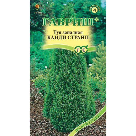 Туя западная Канди Страйп 0,05 г