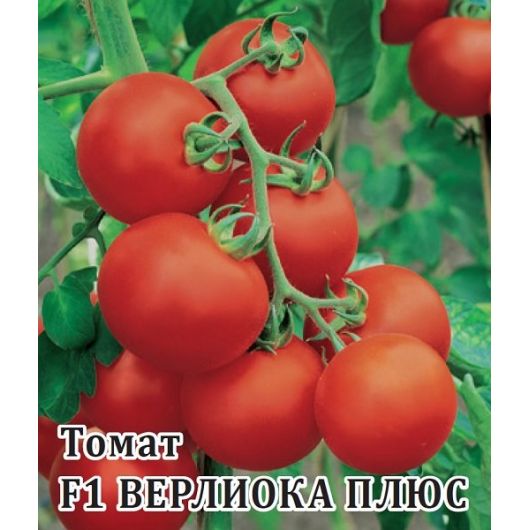Томат Верлиока плюс F1 100 шт.