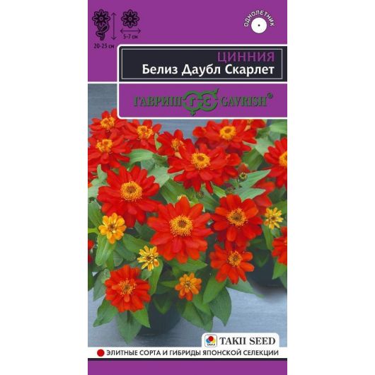 Цинния Белиз даубл скарлет 5 шт.