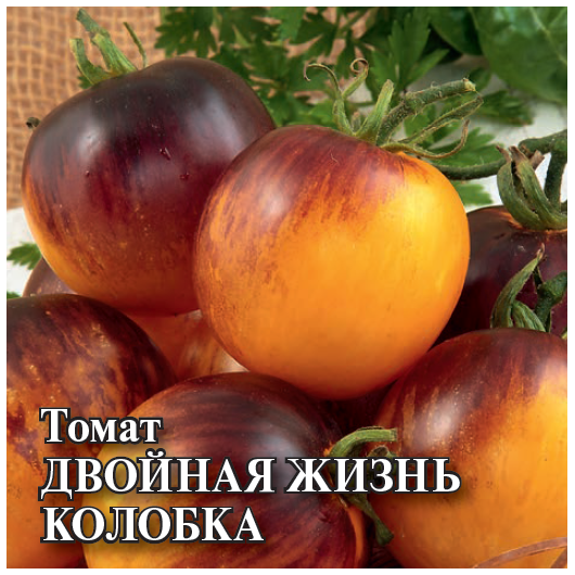 Томат Двойная жизнь колобка (пурпурно-янтарный биколор) 100 шт.