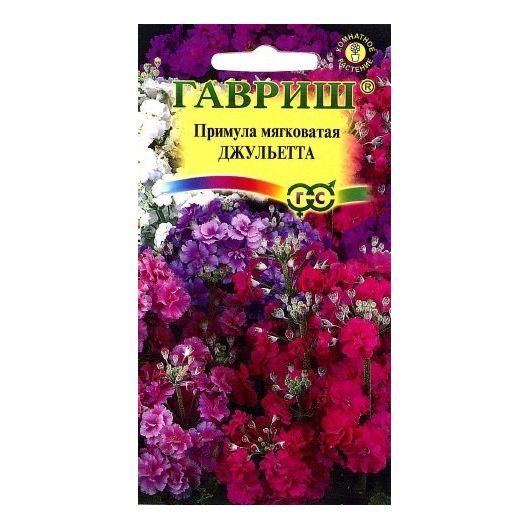 Примула Джульетта, мягковатая* 10 шт.