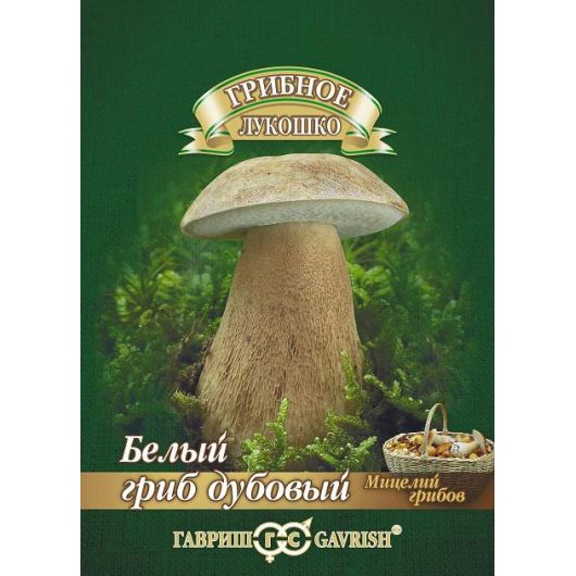 Белый гриб Дубовый на зерновом субстрате, больш. пак. 15 мл