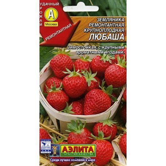 Земляника Любаша крупноплодная,ремонтантая 10 шт Аэлита