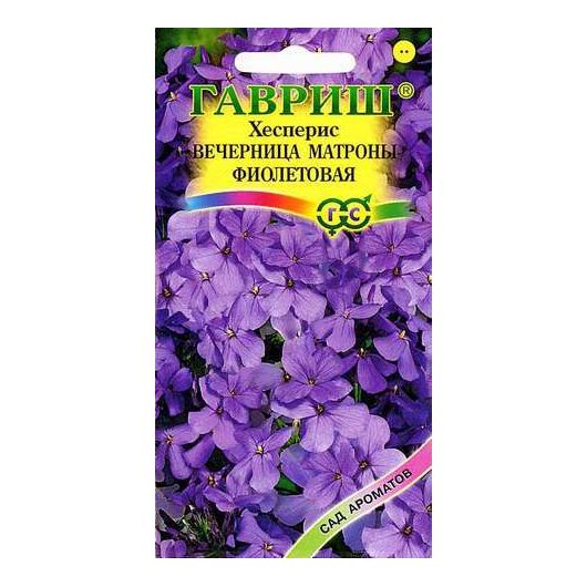 Хесперис Вечерница Матроны, фиолетовая* 0,1 г серия Сад ароматов