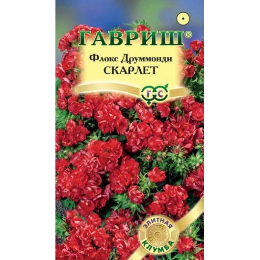 Флокс Скарлет друммонда* 8 шт. серия Элитная клумба