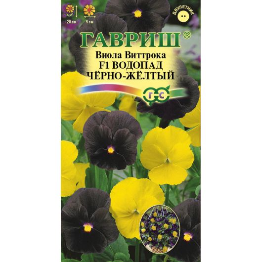 Виола Водопад черно-желтый F1, Виттрока (амп.) (Анютины глазки)* 4 шт.