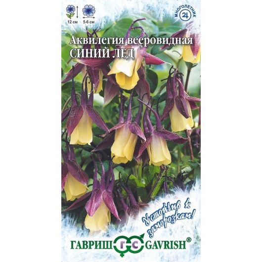 Аквилегия Синий лед, вееровидная* 10 шт. серия Устойчив к заморозкам!