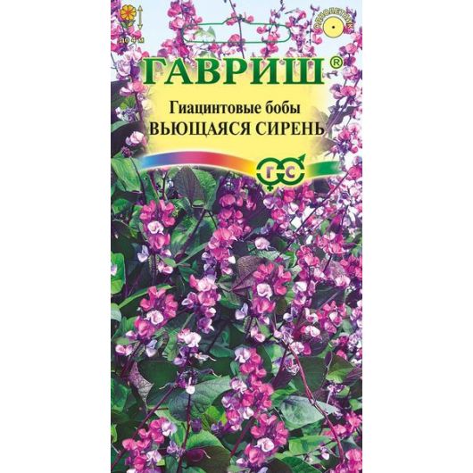 Гиацинтовые бобы Вьющаяся сирень 4 шт.