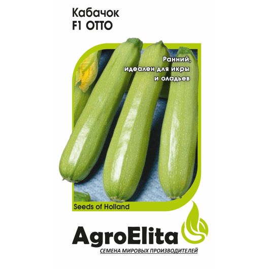 Кабачок Отто F1 5 шт. (Энза Заден) Агроэлита