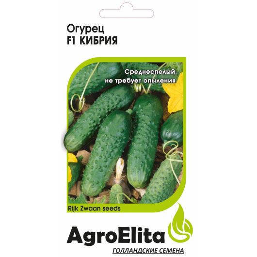 Огурец Кибрия F1 5 шт. партен. (Райк Цваан) Агроэлита
