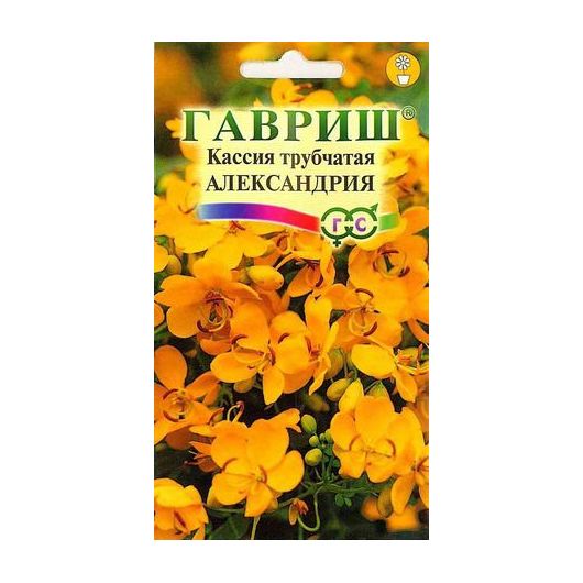 Кассия Александрия, трубчатая 3 шт.