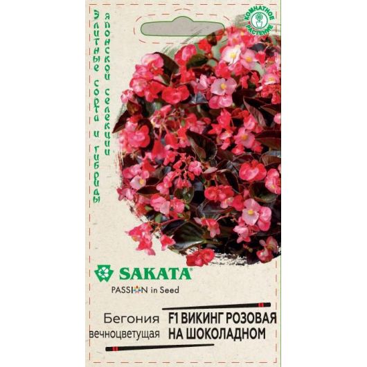 Бегония Викинг розовая на шоколадном F1, гибрид. гранул. 4 шт. проб. Саката сер. Элитная клумба