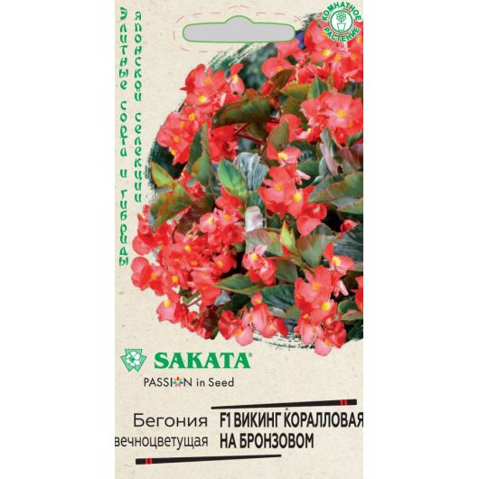 Бегония Викинг коралловая на бронзовом F1,гибрид. гранул. 4 шт. проб. Саката сер. Элитная клумба