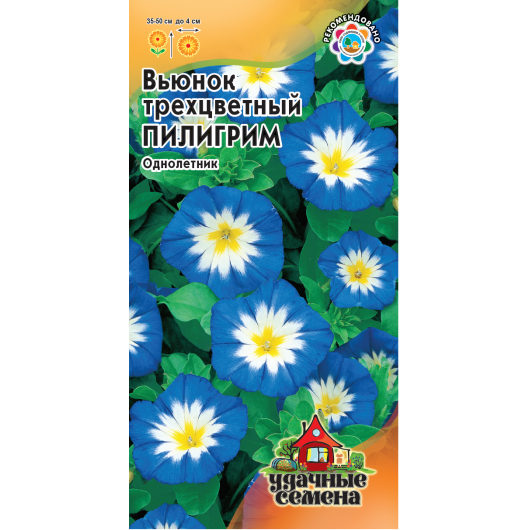 Вьюнок Трехцветный Пилигрим 0,5 г Удачные семена