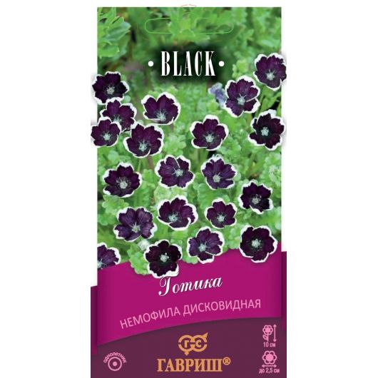 Немофила дисковидная Готика 0,2 г серия Блэк