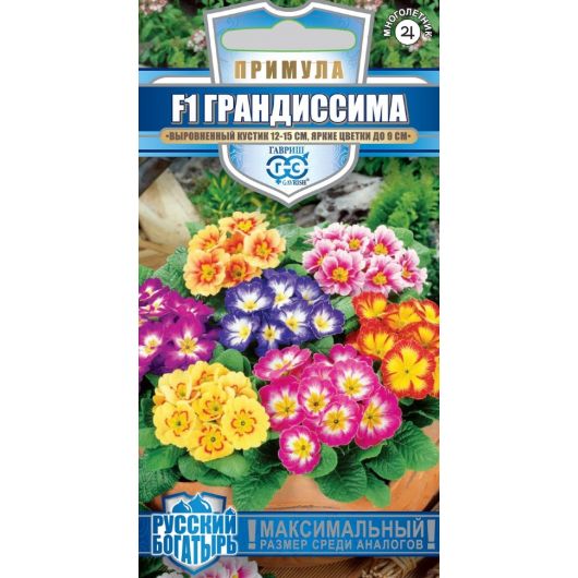 Примула Грандиссима, обыкновенная, смесь F1 5 шт. серия Русский богатырь