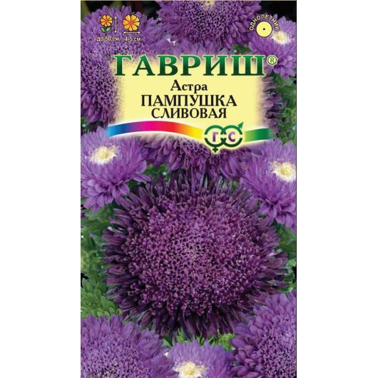 Астра Пампушка сливовая, однолетняя (помпонная) 0,3 г