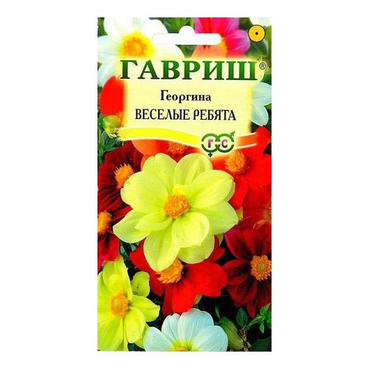 Георгина Веселые ребята 0,3 г