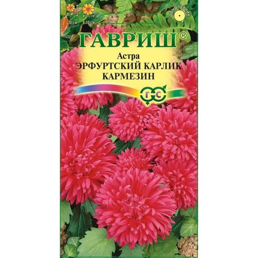 Астра Эрфуртский карлик Кармезин, однолетняя (красная) 0,3 г