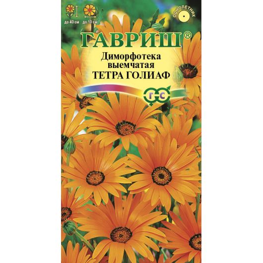 Диморфотека Тетра Голиаф 0,1 г