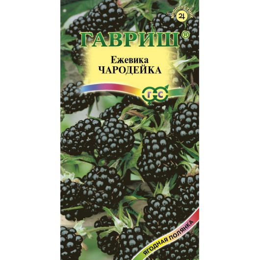 Ежевика Чародейка 10 шт.