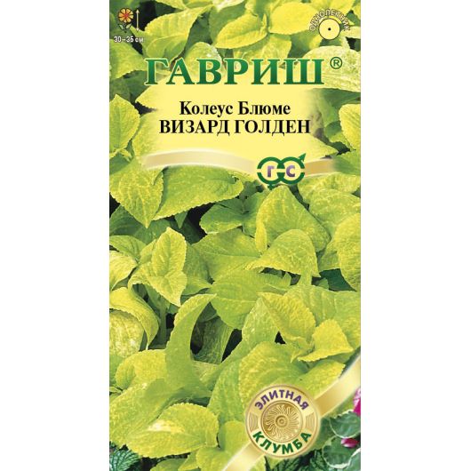 Колеус Визард Голден 5 шт.* Элитная клумба