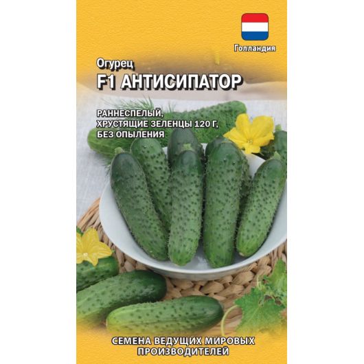 Огурец Антисипатор F1 5 шт. (Голландия)