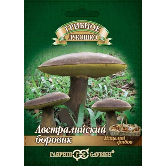 Боровик австралийский гриб на зерновом субстрате, больш. пак. 15 мл