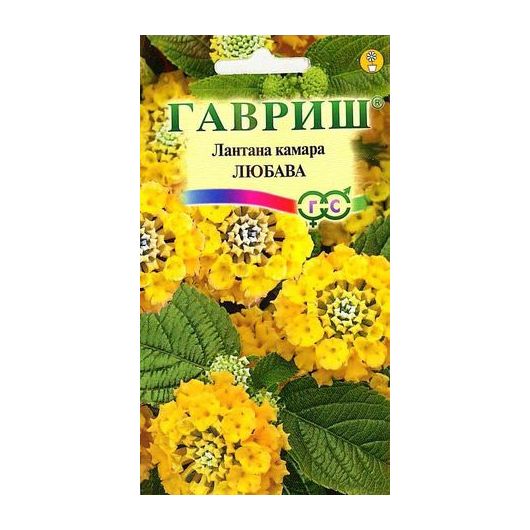 Лантана Камара Любава*  0,1 г
