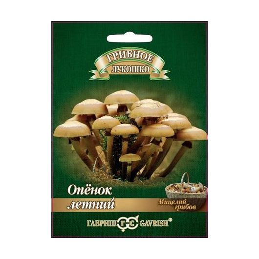 Опенок летний на древесной палочке, больш. пак. 12 шт
