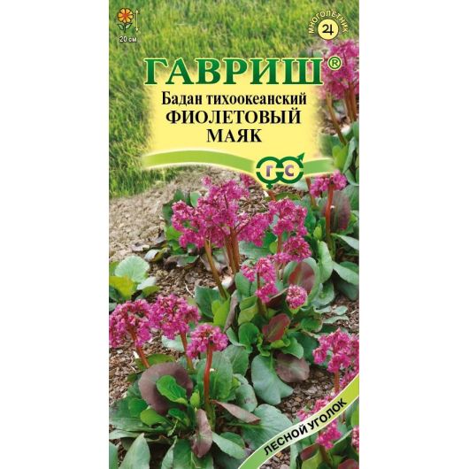 Бадан тихоокеанский Фиолетовый маяк 0,01 г