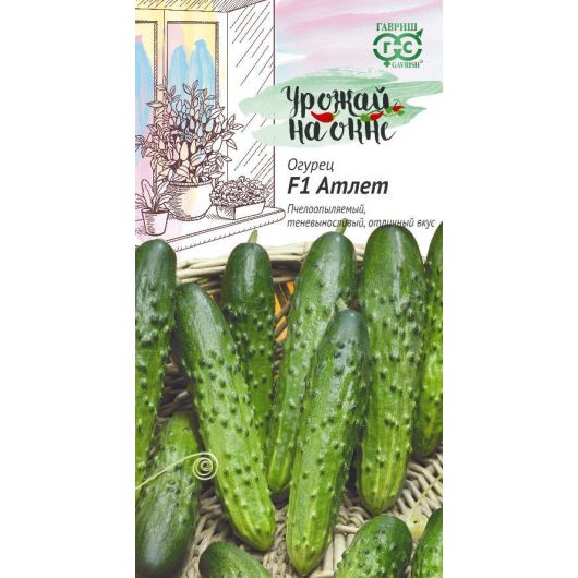 Огурец Атлет F1 10 шт. сер. Урожай на окне