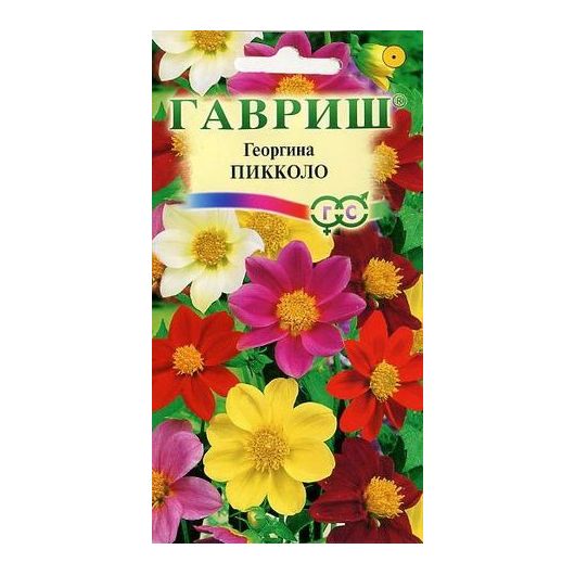Георгина Пикколо, смесь 0,3 г