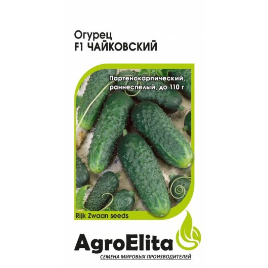 Огурец Чайковский F1 5 шт. партен. (Райк Цваан) Агроэлита