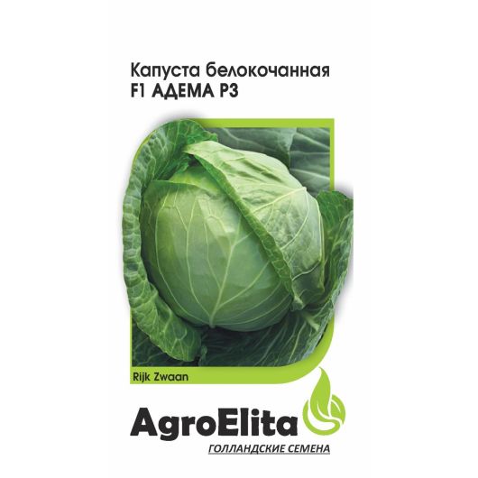 Капуста белокоч. Адема РЗ F1 15 шт. ран. (Райк Цваан) Агроэлита
