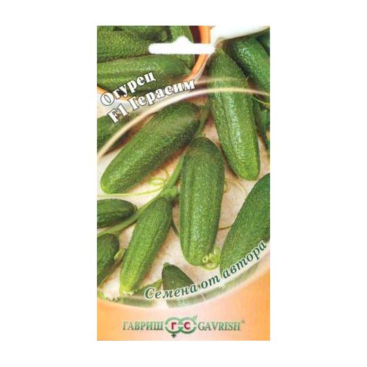 Огурец Герасим F1 10 шт. корнишон автор.