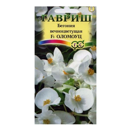 Бегония Оломоуц F1 вечноцв. гранул. 5 шт. пробирка
