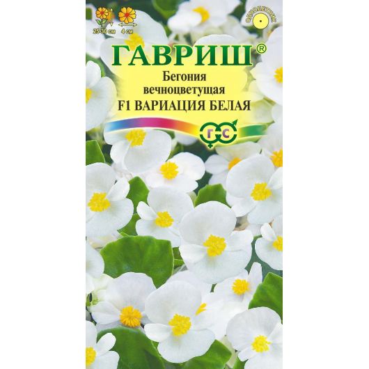Бегония Вариация белая F1 вечноцв. гранул. 5 шт. пробирка