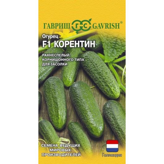 Огурец Корентин F1 5 шт. (Голландия)